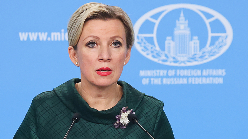Захарова прокомментировала инциденты с Галкиным и группой «Би-2»