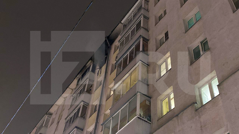 В Москве сотрудники МЧС спасли из огня двух человек и кота